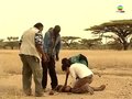 Episode 25