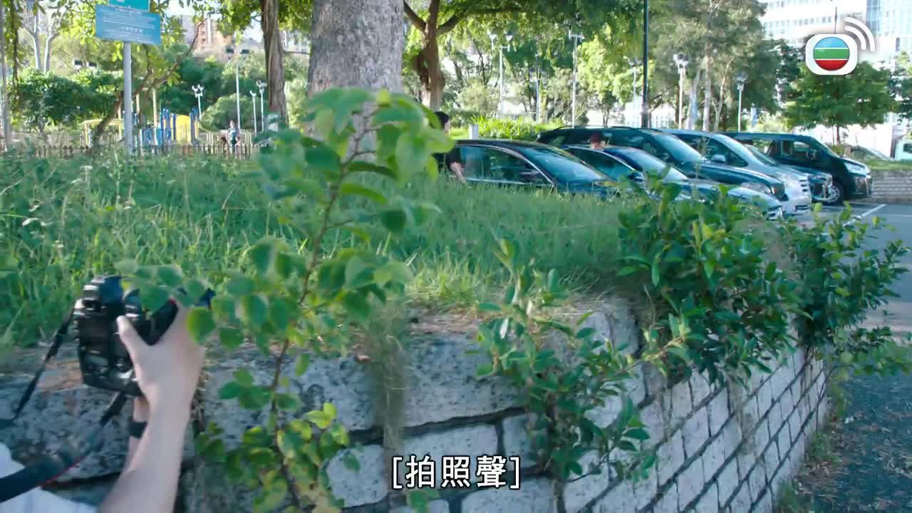 Tập 12