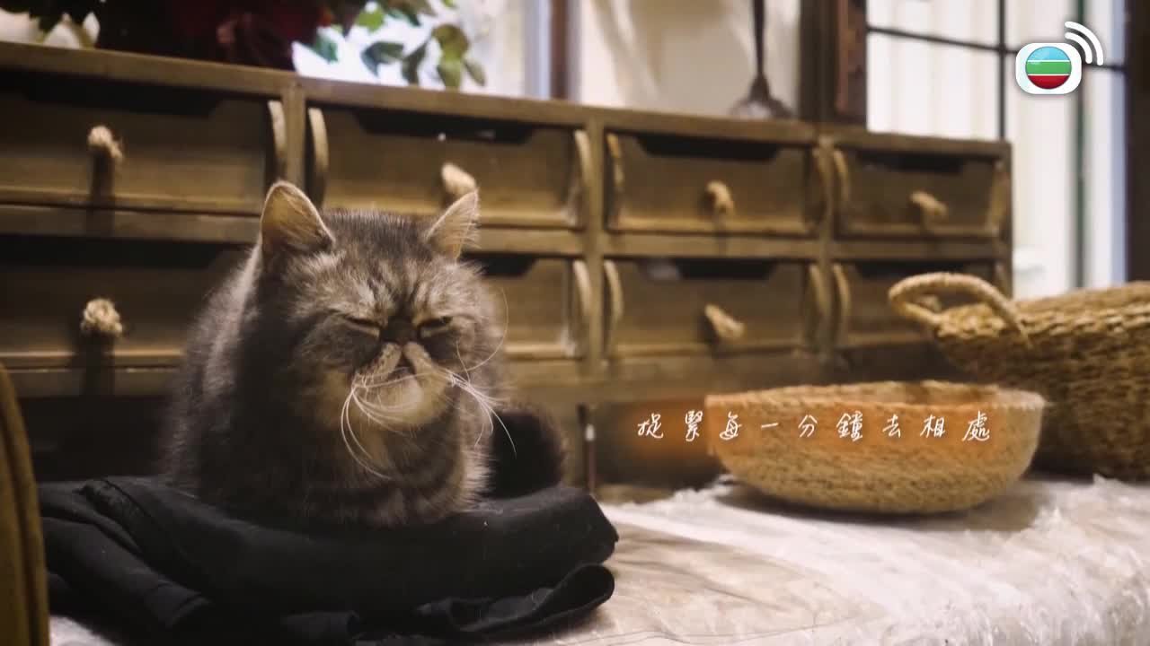 第08集