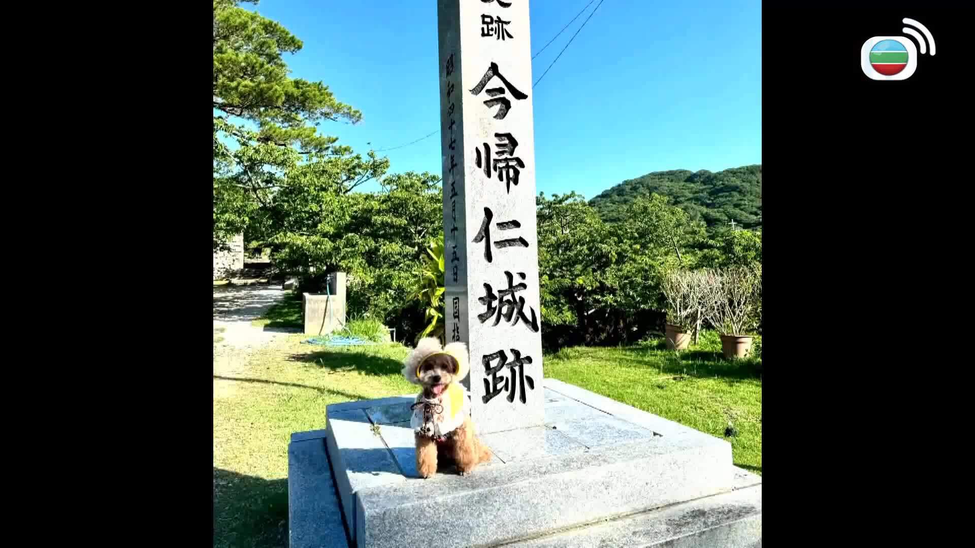 星期日檔案-Sunday Report