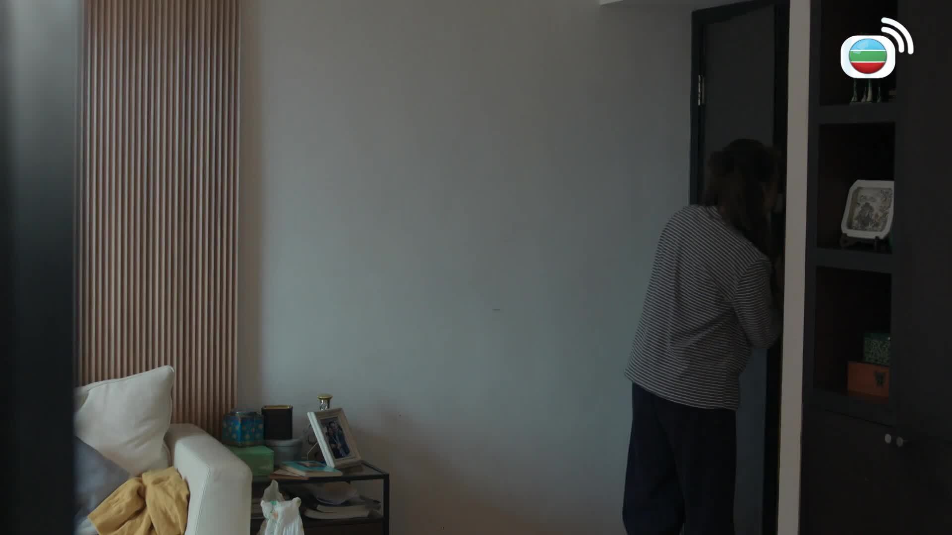 Lực Lượng Chấp Pháp-執法者們