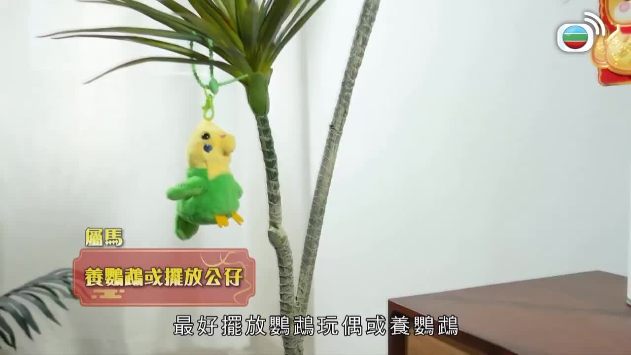 Tập 4
