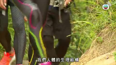 第206集