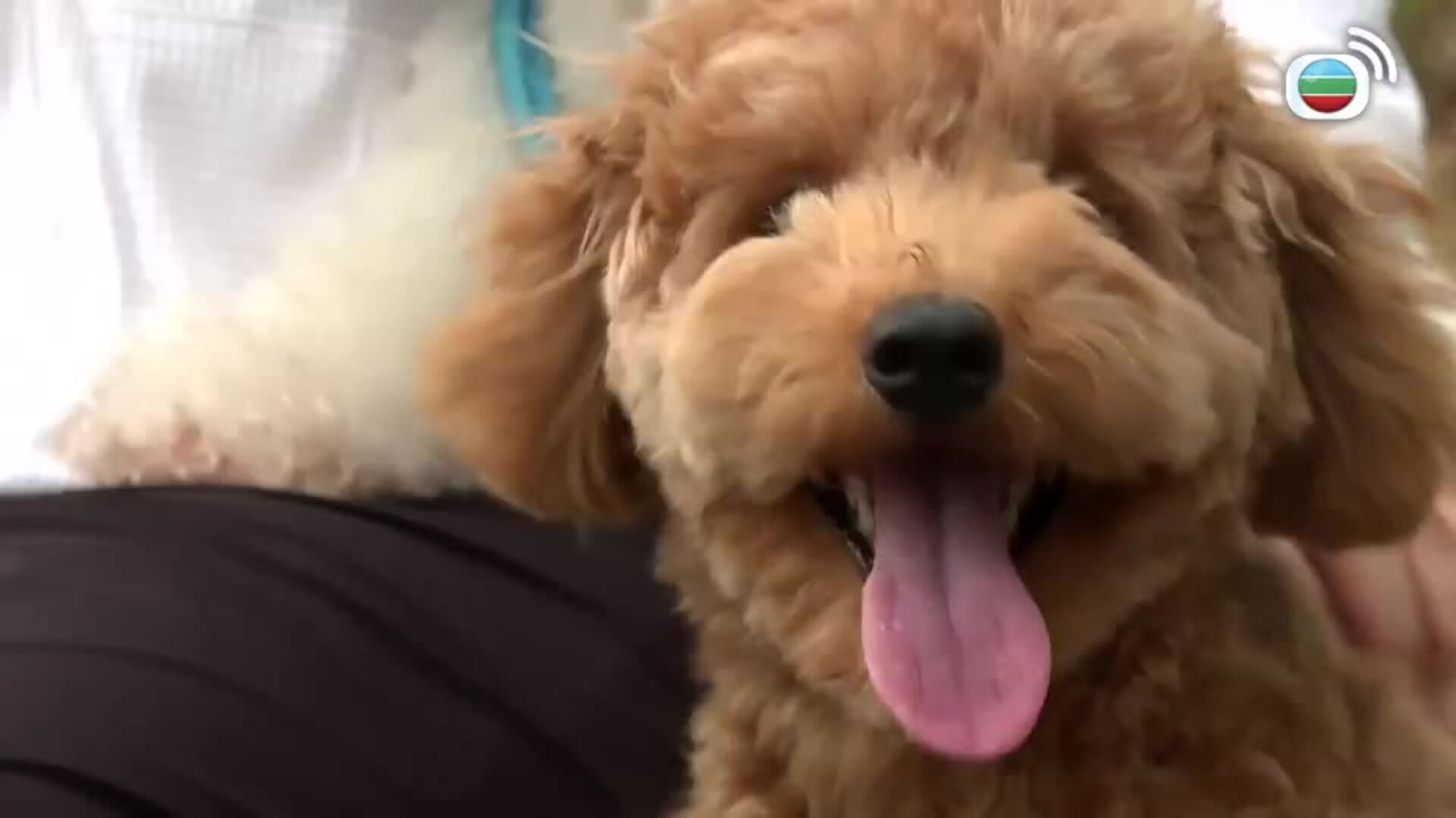 星期日檔案-Sunday Report