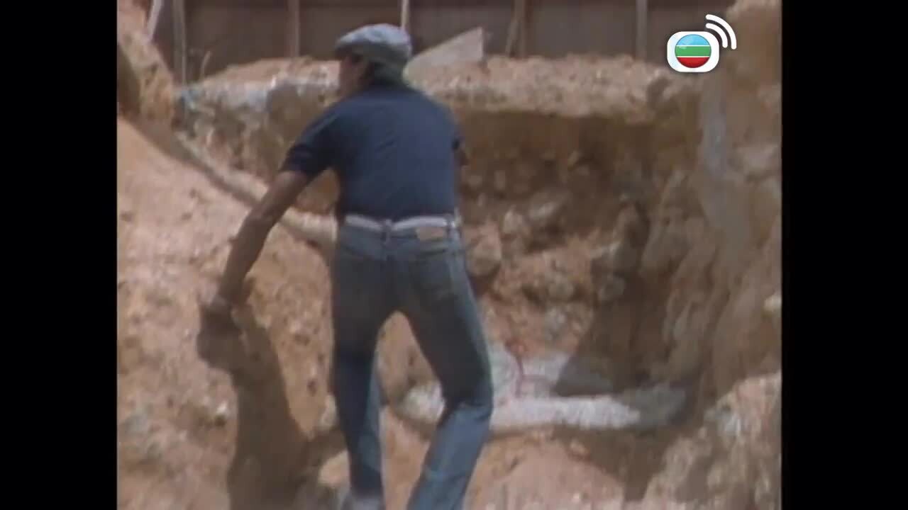 神探霹靂-The Private Eye