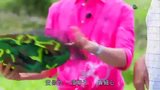 Episode 23