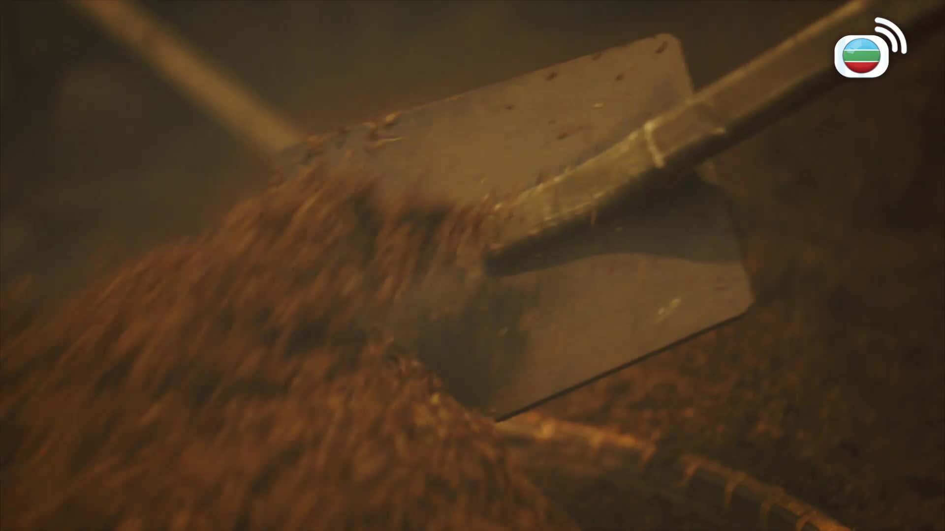 錦囊妙錄-Under The Moonlight