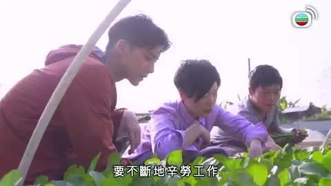 Tập 5