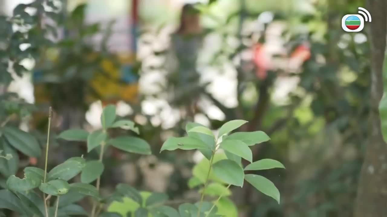 Tập 19