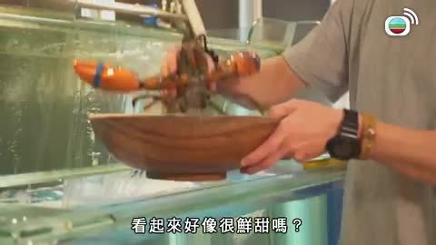 第08集