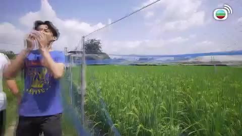 Tập 26