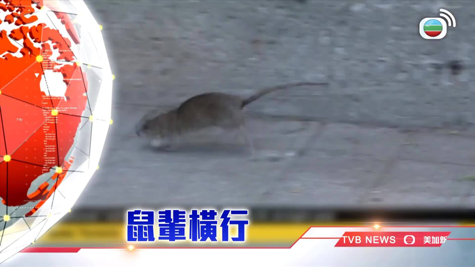 我瞞結婚了-Married But Available