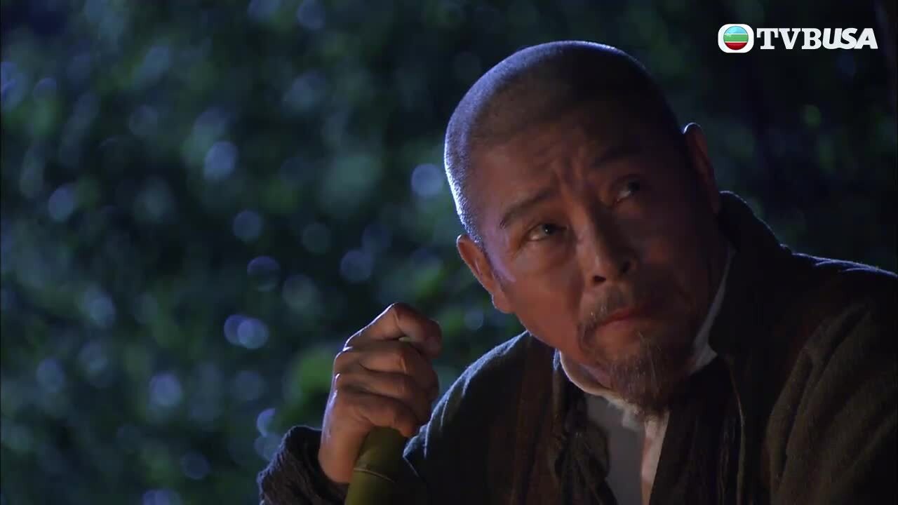 太極-The Master Of Tai Chi