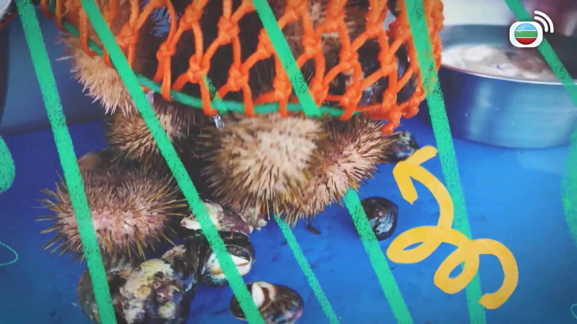 Let It Be Love-4 In Love