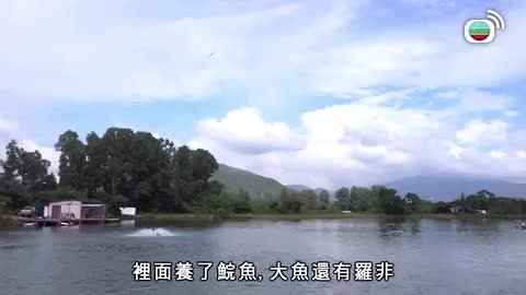 Tập 29