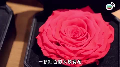 Tập 2