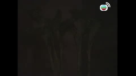 Tập 14