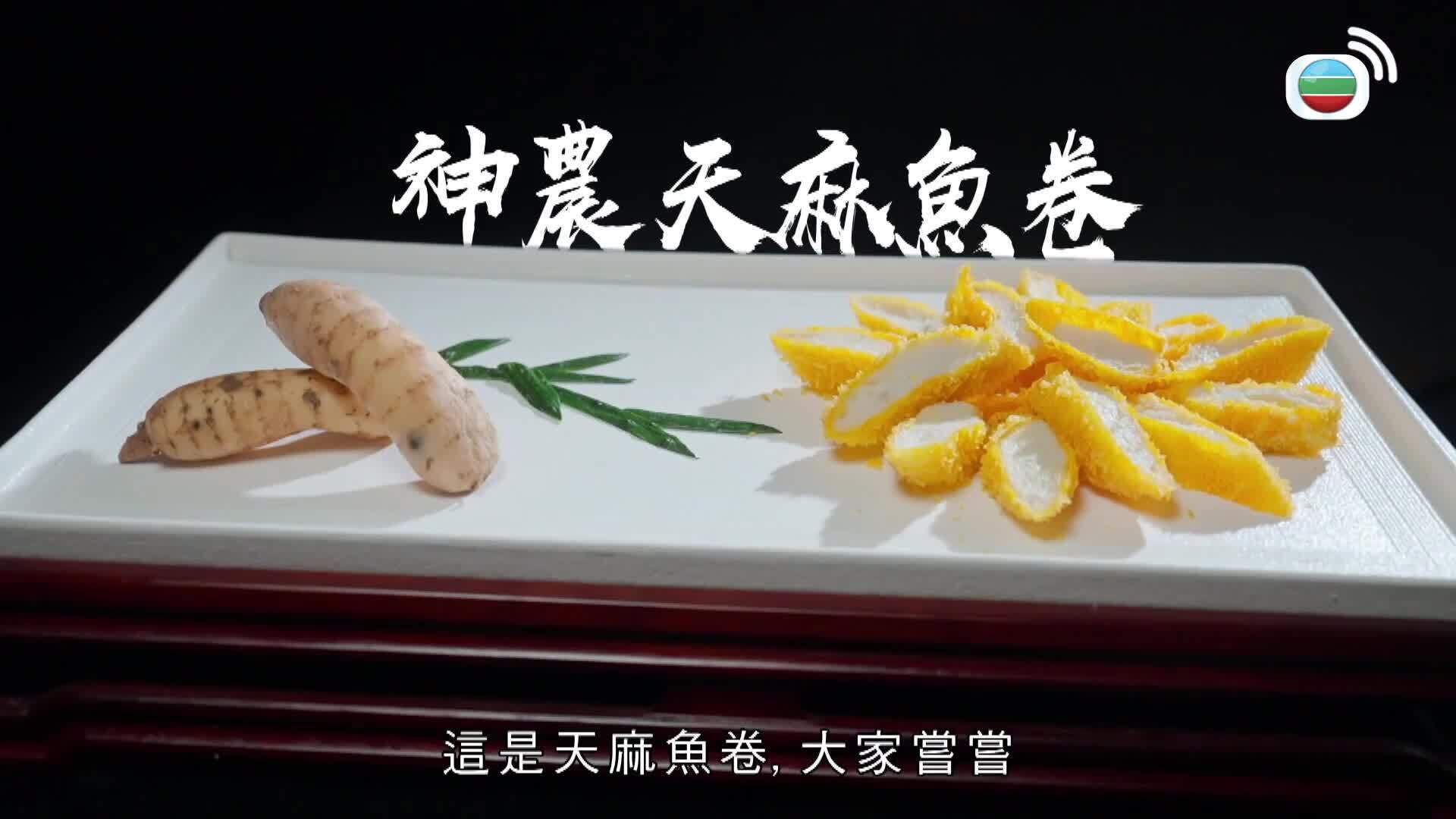 養生之旅-Journey To Well-Being