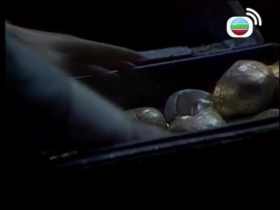 江湖浪子-The Young Wanderer