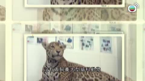 Tập 187
