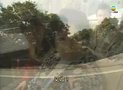 Tập 6
