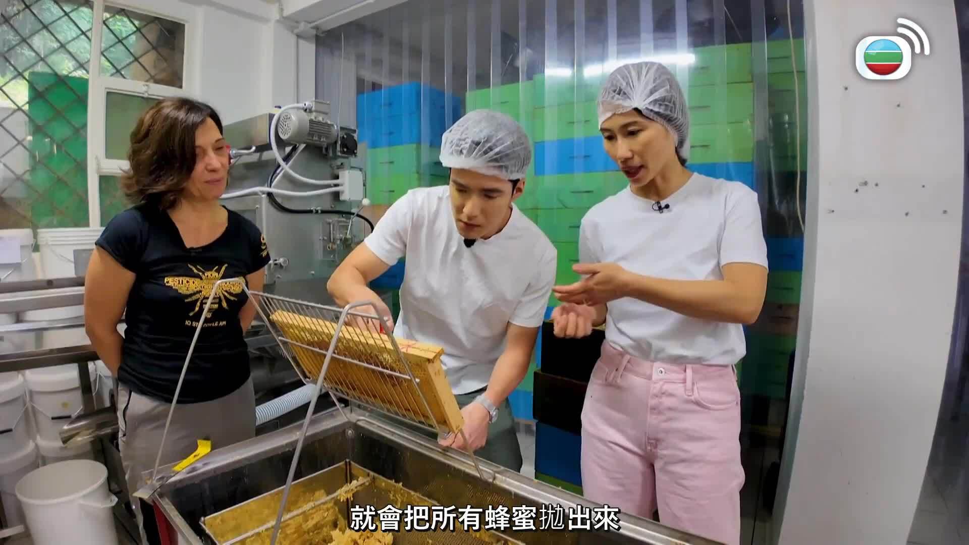意料之踪-Fantastic Feasts And Where To Find Them
