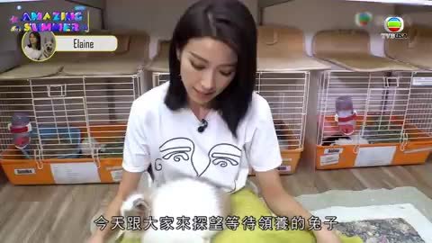 Tập 7