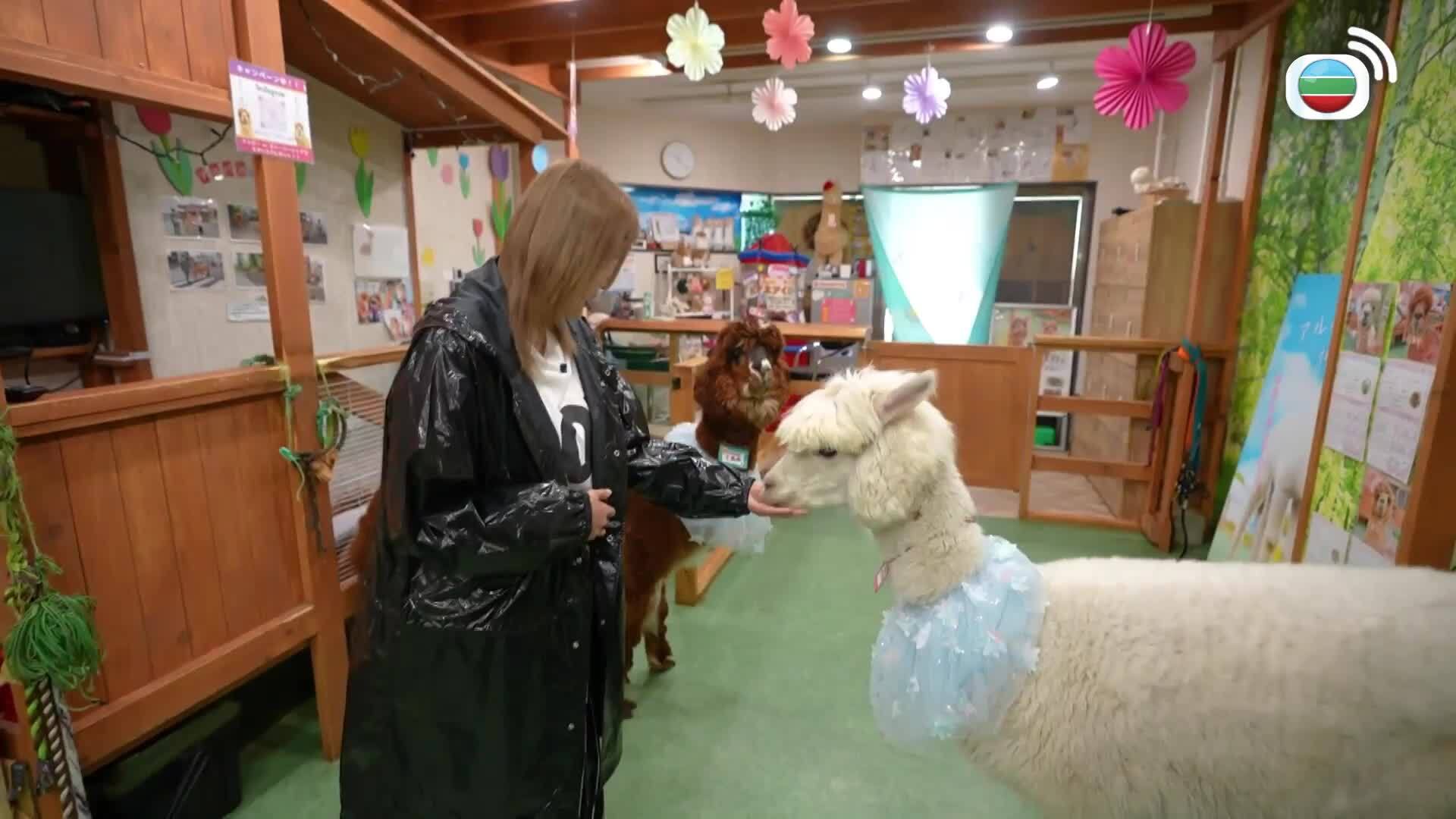 解風東京2-Tokyo Unlock (Sr.2)