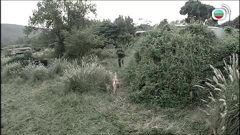 tập 02