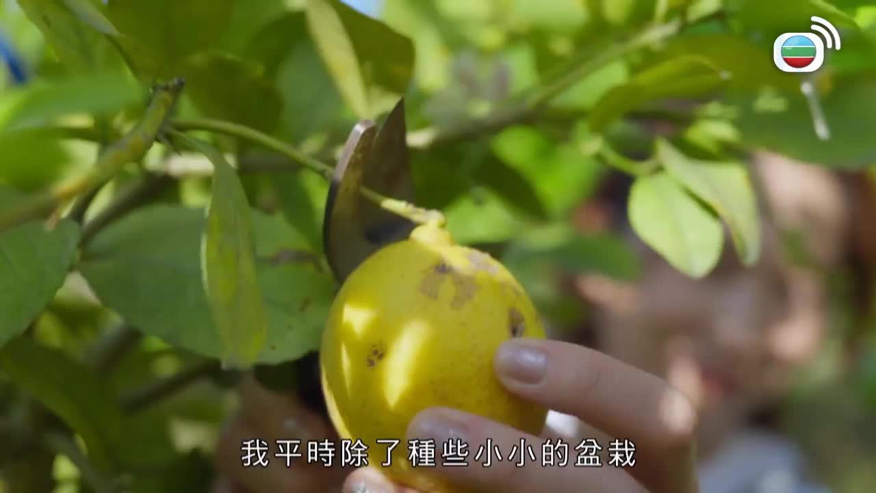 Tập 1