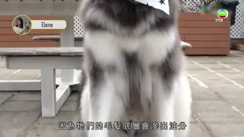 Tập 9