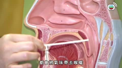 第193集