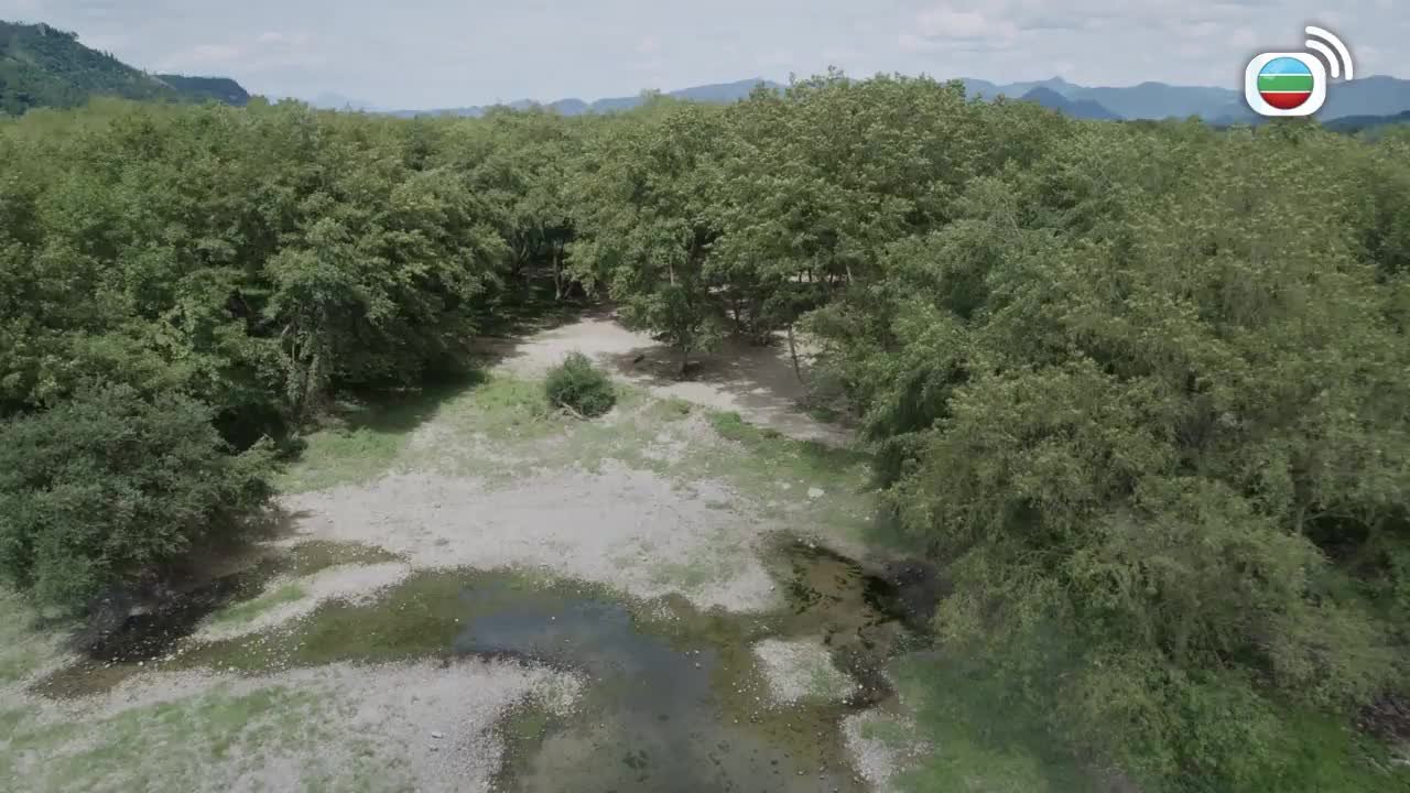 Episode 01