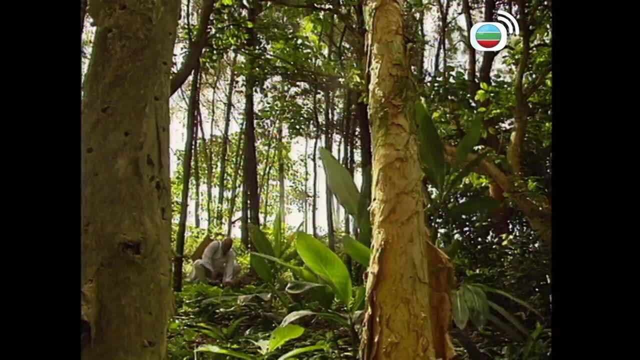 穆桂英之十二寡婦征西-The Heroine Of The Yangs II