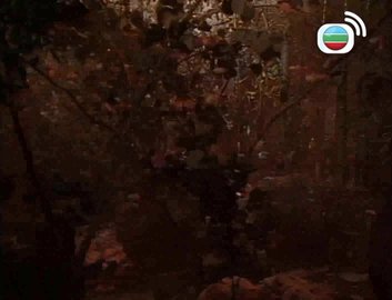 第05集