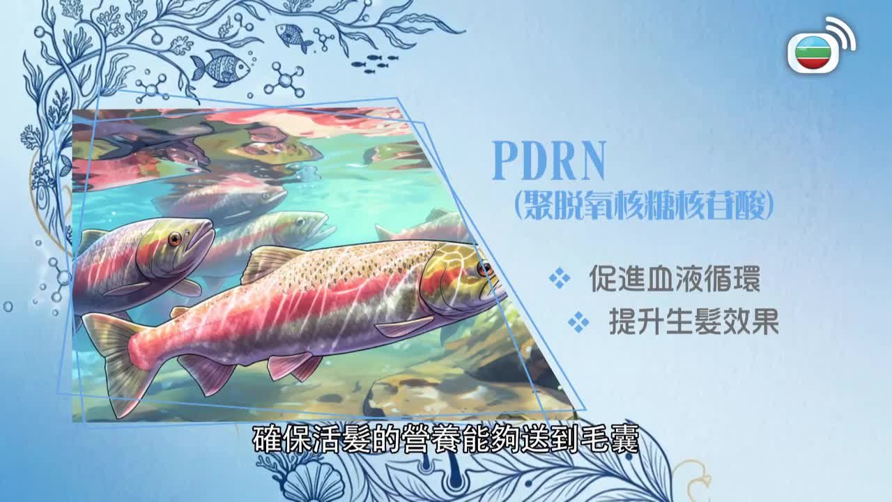 09.17.2026