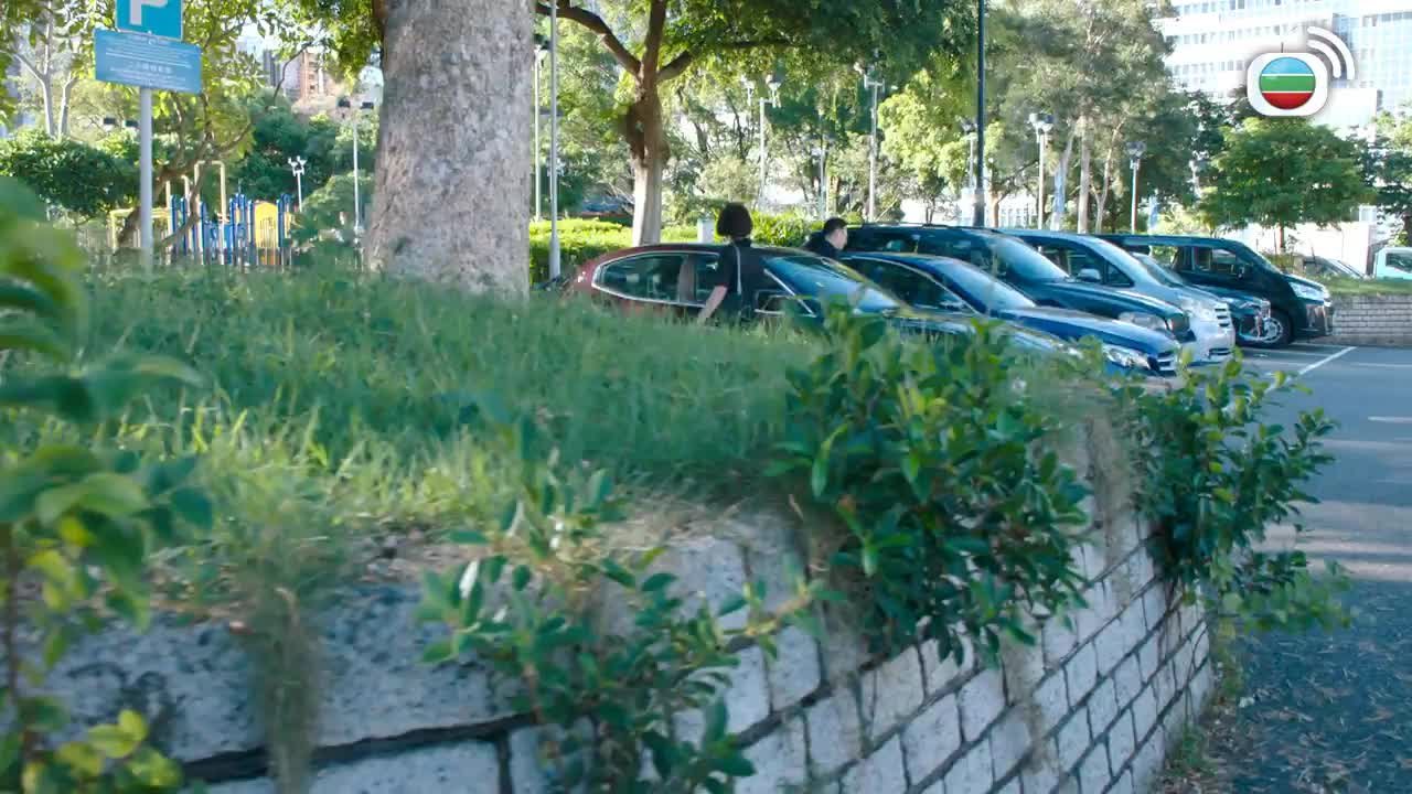 Episode 12