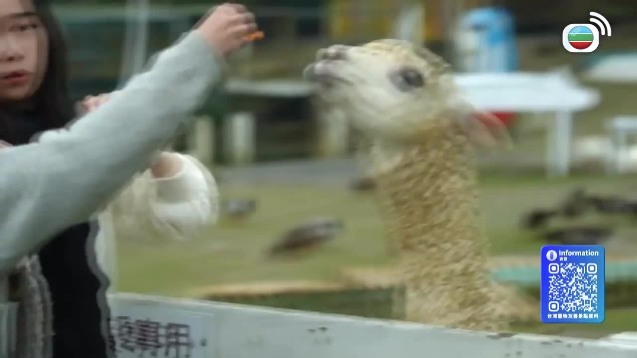 第04集