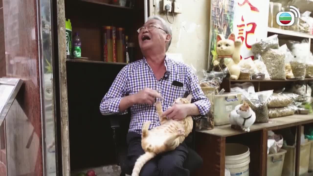 第01集