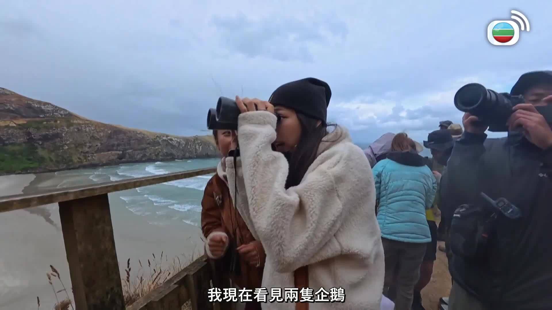 港女野人奇異記-Chill. Hike. Camping (Sr.2)