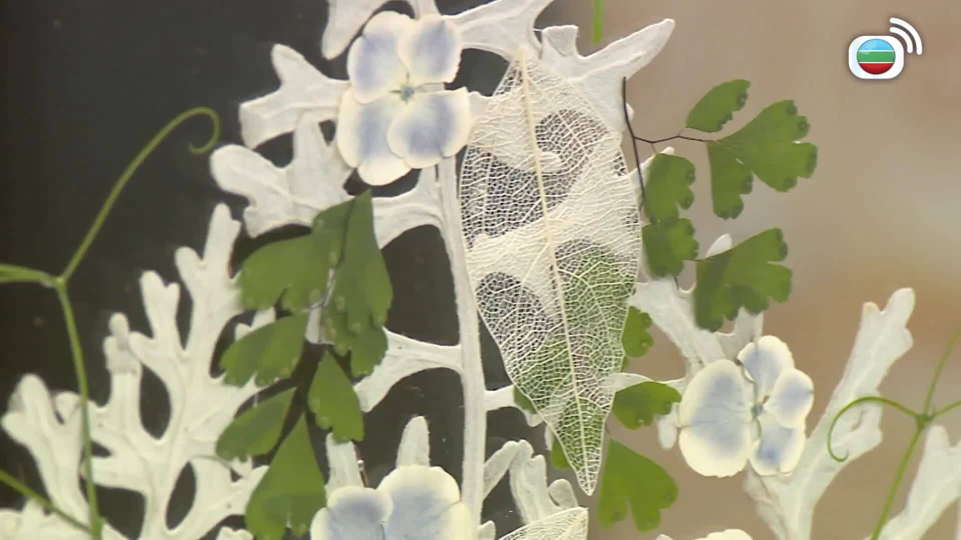 流行都市-Big City Shop