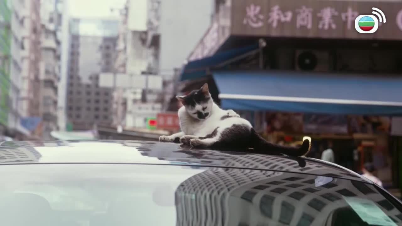 第07集