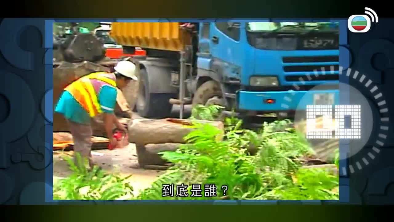 Tập 47