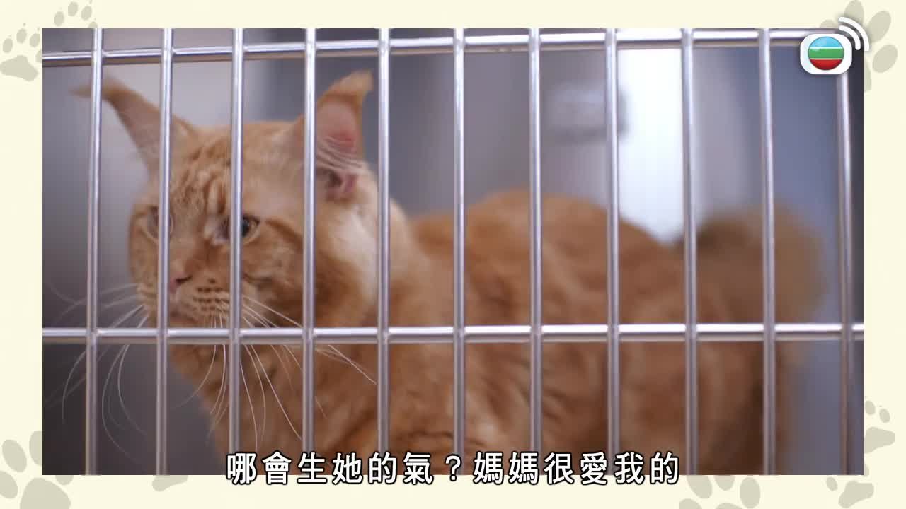 Tập 11
