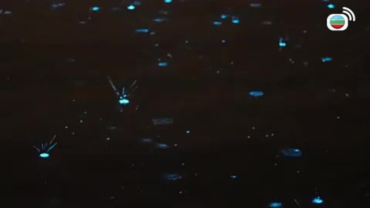 第10集