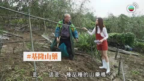 Tập 2