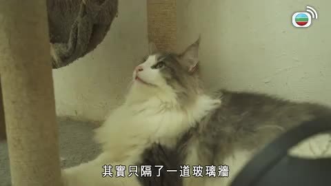 Tập 5