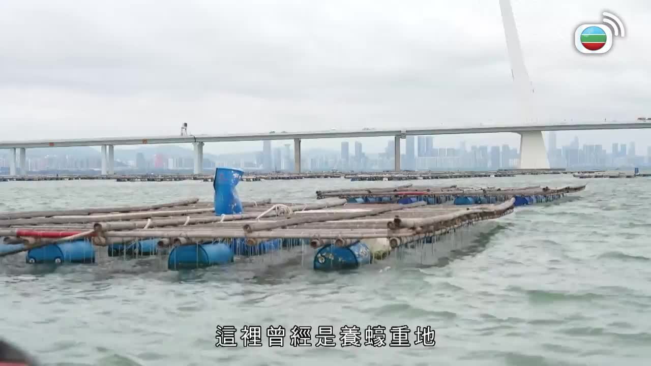 第01集