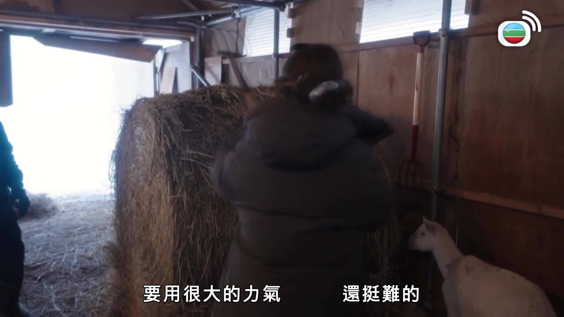 日本最美村落-The Most Beautiful Villages In Japan