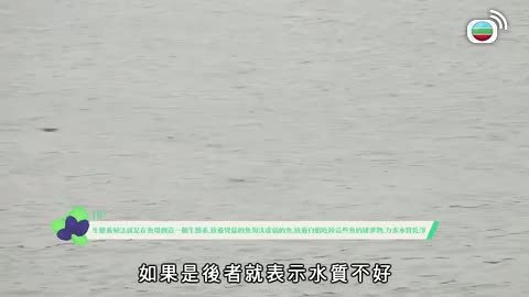 Tập 12
